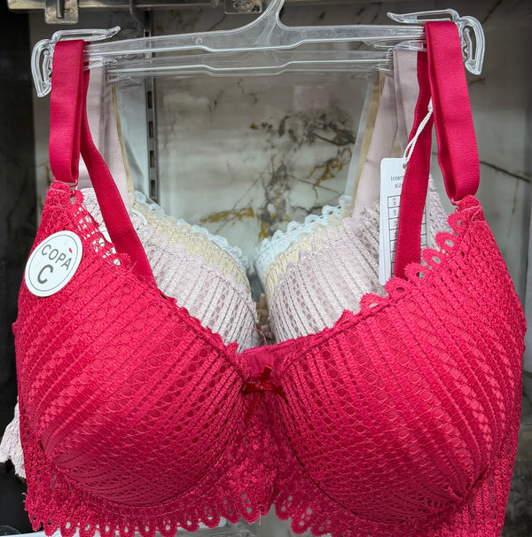 Premium lacy light paded bra with wired