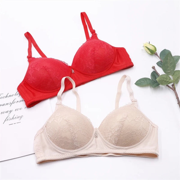 Daily Wear Non Wire Soft Pad Bra