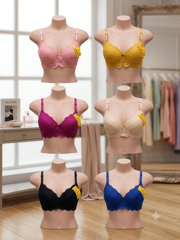 Lace Bra with Steel Ring Sexy Fashion Push up Underwear
Accessory Breast