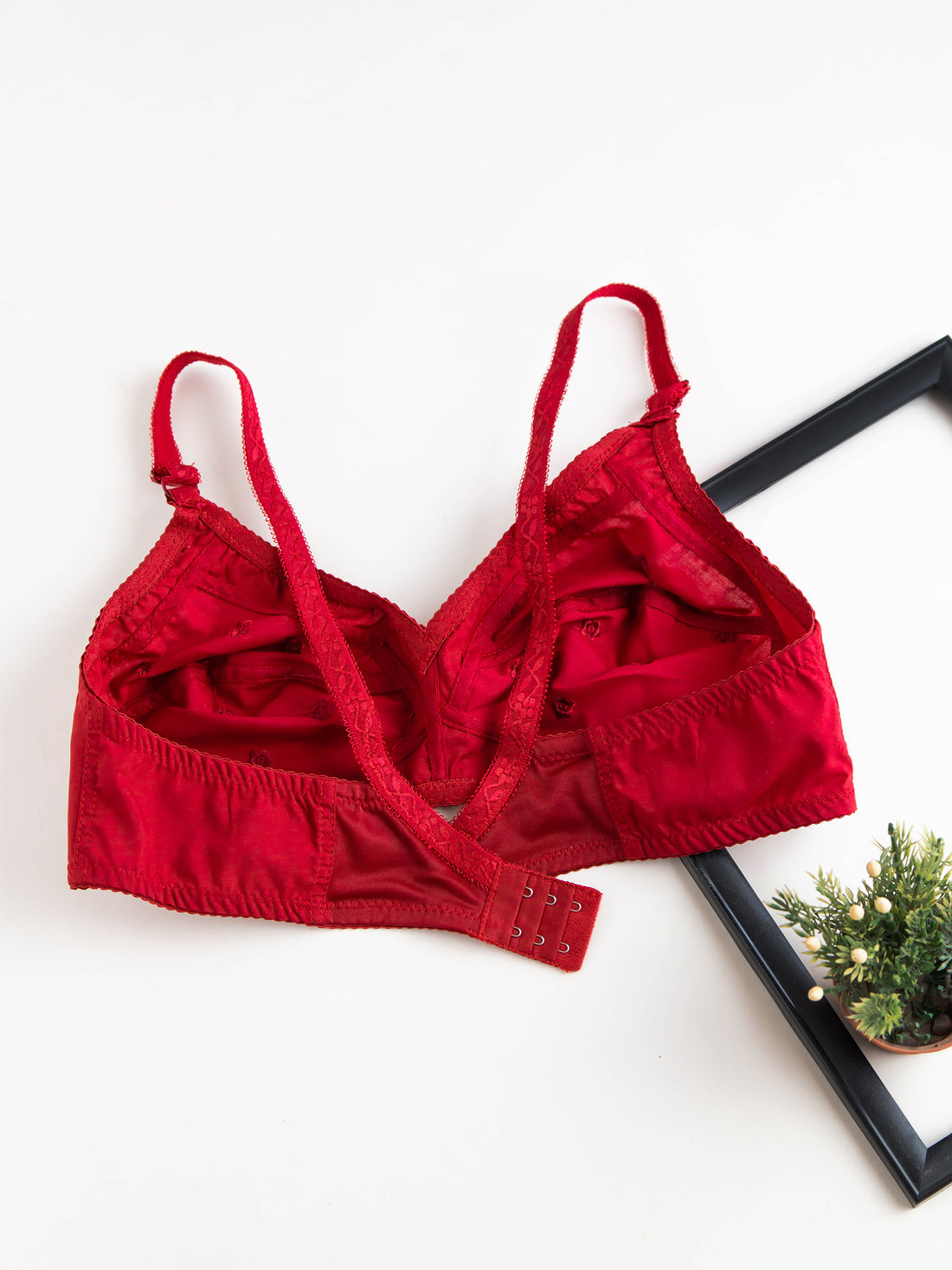 Summer Cotton Bra pack of 2